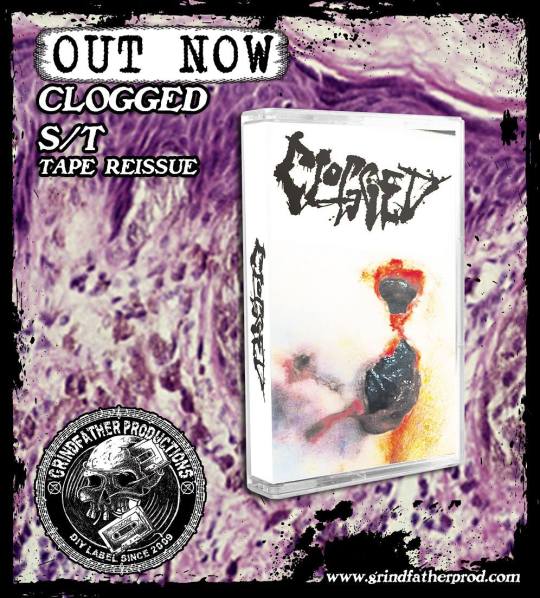 14409659_1201298793289942_1288610164122625856_o