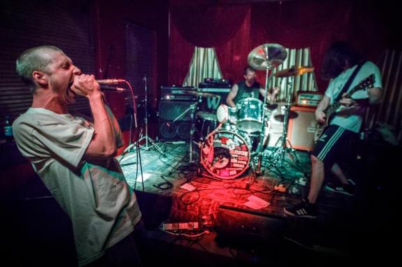 15940416_1857219664492050_1408122282202179134_n