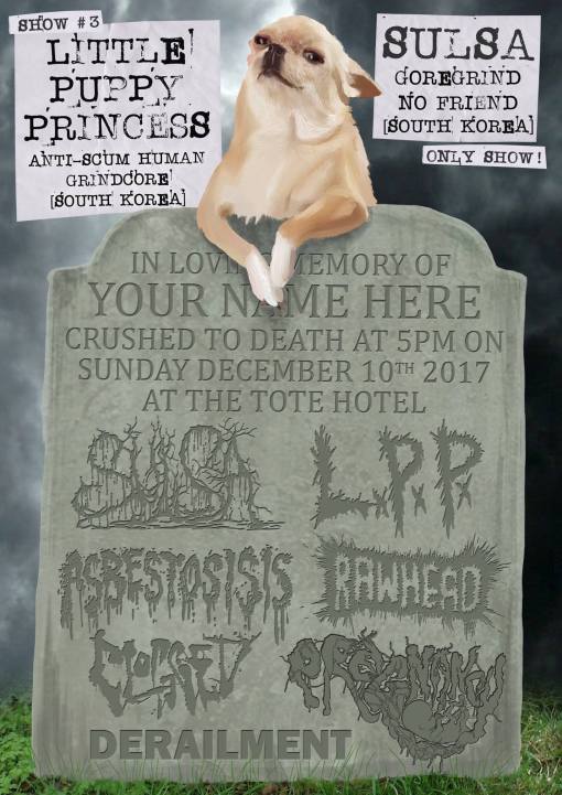 21248448_1482020068531125_2850011985946512637_o