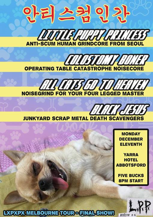 23116883_10159541355895504_3201064464129231928_o