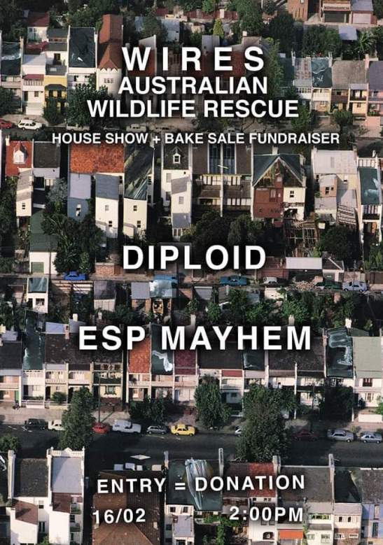 82909482_5048972501794797_4286435910402179072_n